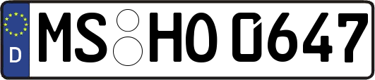 MS-HO0647