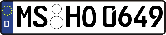 MS-HO0649