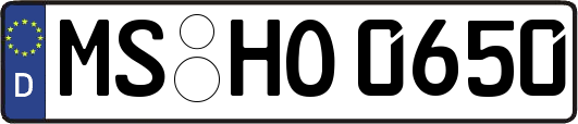MS-HO0650