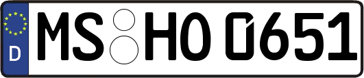 MS-HO0651