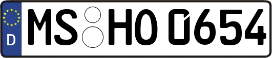 MS-HO0654