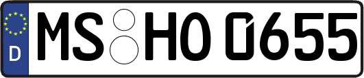 MS-HO0655