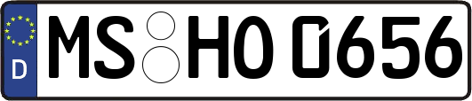 MS-HO0656