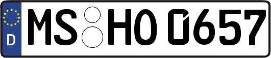 MS-HO0657