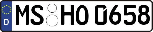 MS-HO0658