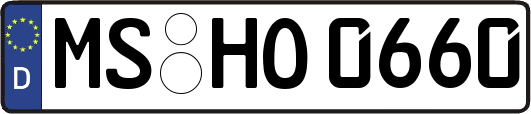 MS-HO0660
