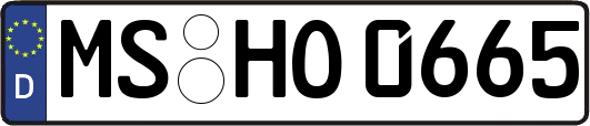 MS-HO0665