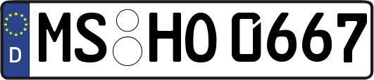 MS-HO0667