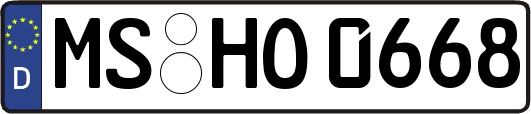 MS-HO0668