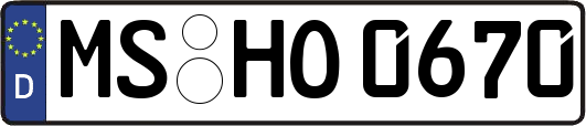 MS-HO0670