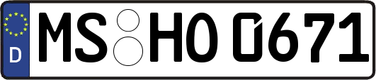 MS-HO0671