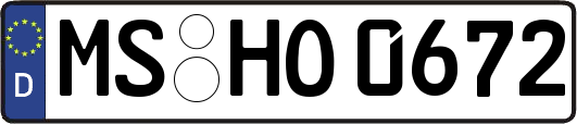 MS-HO0672