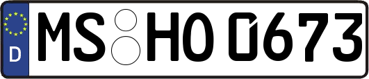 MS-HO0673