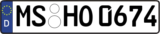MS-HO0674