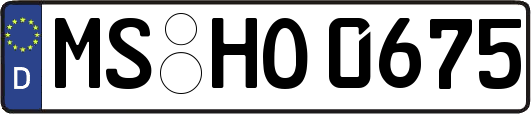 MS-HO0675