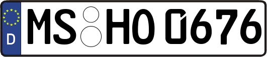 MS-HO0676