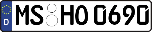 MS-HO0690