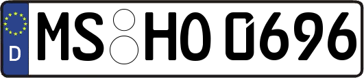 MS-HO0696