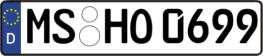 MS-HO0699