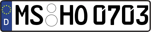 MS-HO0703