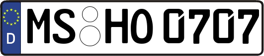 MS-HO0707