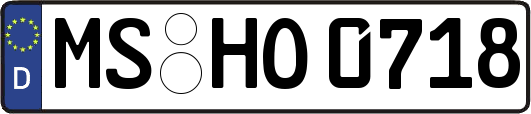 MS-HO0718