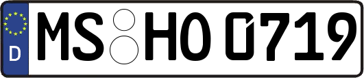 MS-HO0719