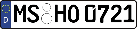 MS-HO0721