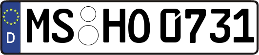 MS-HO0731
