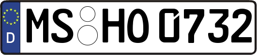 MS-HO0732