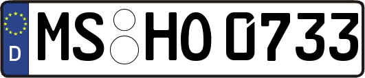 MS-HO0733