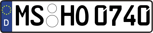 MS-HO0740