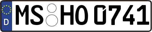 MS-HO0741