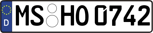 MS-HO0742