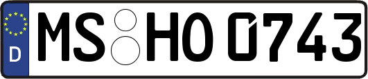 MS-HO0743