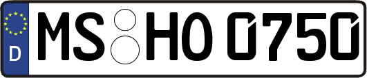 MS-HO0750