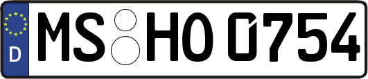 MS-HO0754