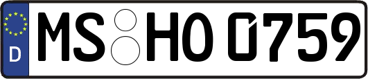 MS-HO0759