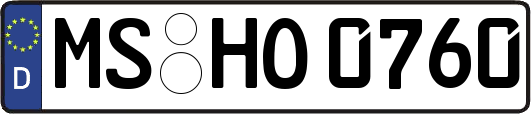 MS-HO0760