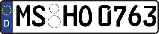 MS-HO0763