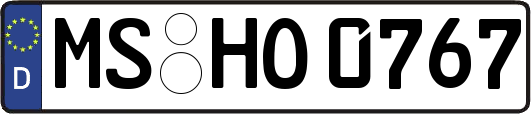 MS-HO0767