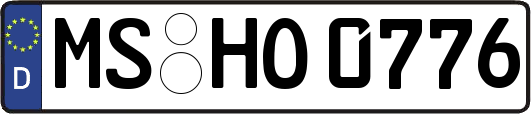 MS-HO0776