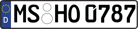 MS-HO0787