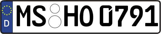 MS-HO0791