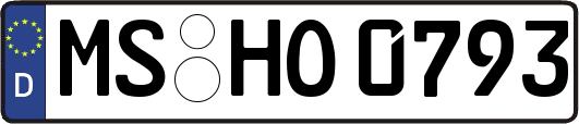 MS-HO0793