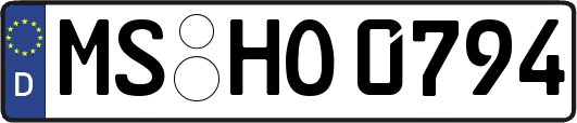 MS-HO0794