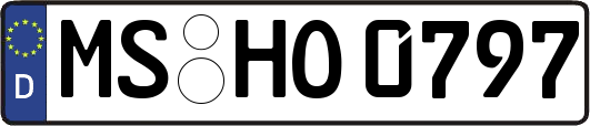 MS-HO0797