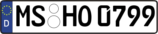 MS-HO0799