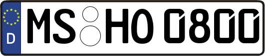 MS-HO0800