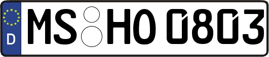 MS-HO0803